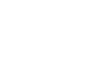 Precedo Consulting